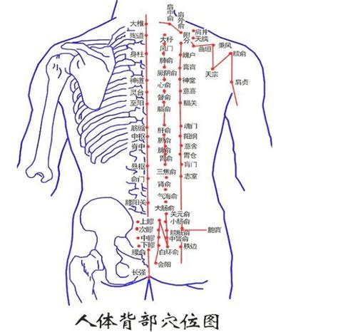 脊椎上有痣|告诉你背部6大经典痣的位置及含义